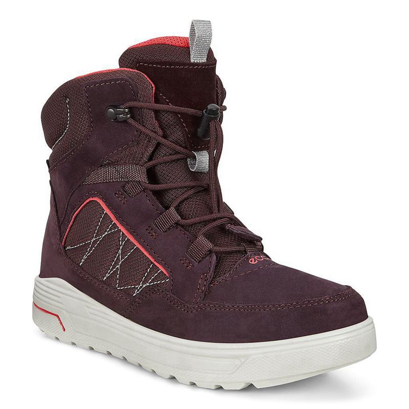 Zapatos Bajos Ecco Urban Snowboarder Para Niños,Moradas,305687-YMP